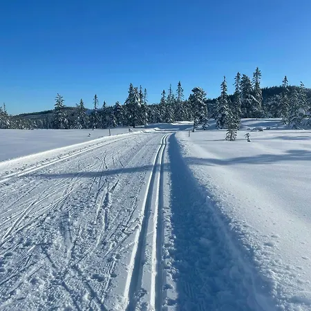 Сasa de vacaciones Architect Mountain At Lygna With Views