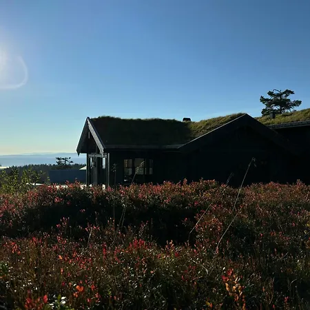 Architect Mountain At Lygna With Views * Jaren